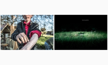 Paolo Galletta: Drugstories, 2014