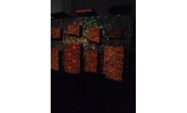 Emilio Isgrò: Installazione Api Scatenate, 2005 c.a.