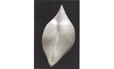 Sara Teresano: Seme puro, 2009, marmo statuario, 30 x 28 x 58 cm.