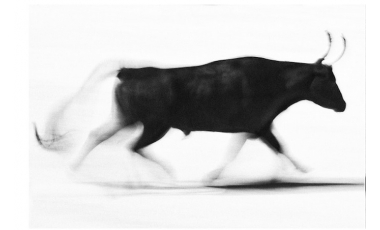 Simona Bonanno. Tauromaquia, 2011.
